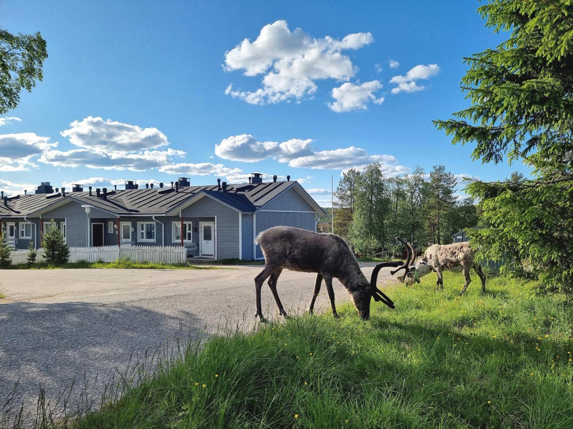 Kuukkeli Apartments Suite Saariselka Esterno foto