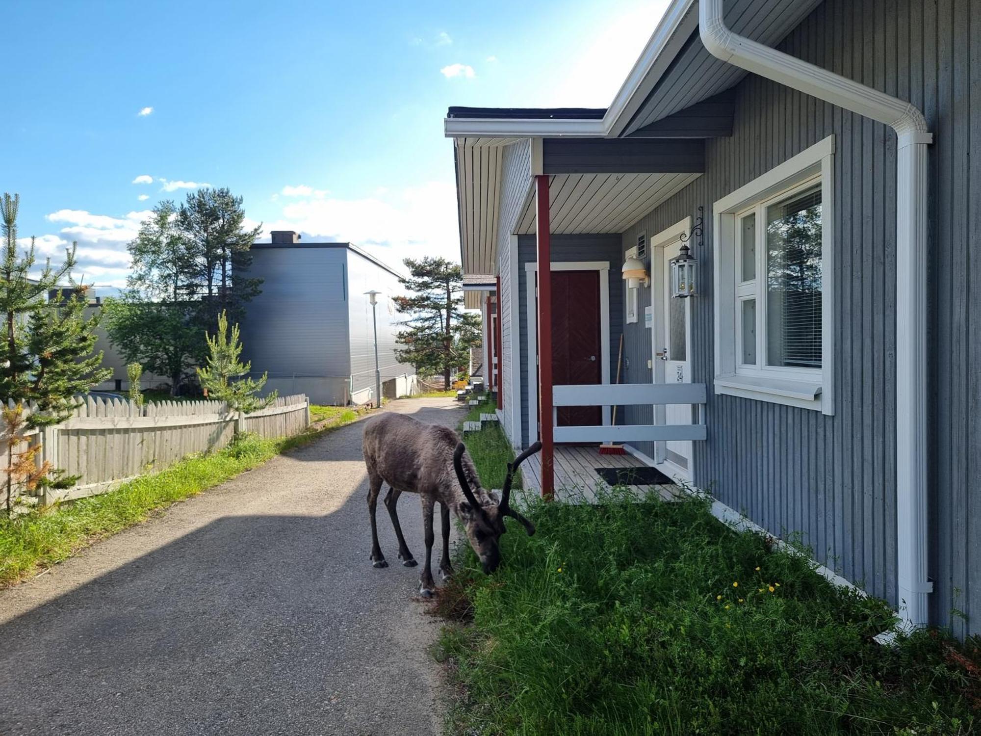 Kuukkeli Apartments Suite Saariselka Esterno foto